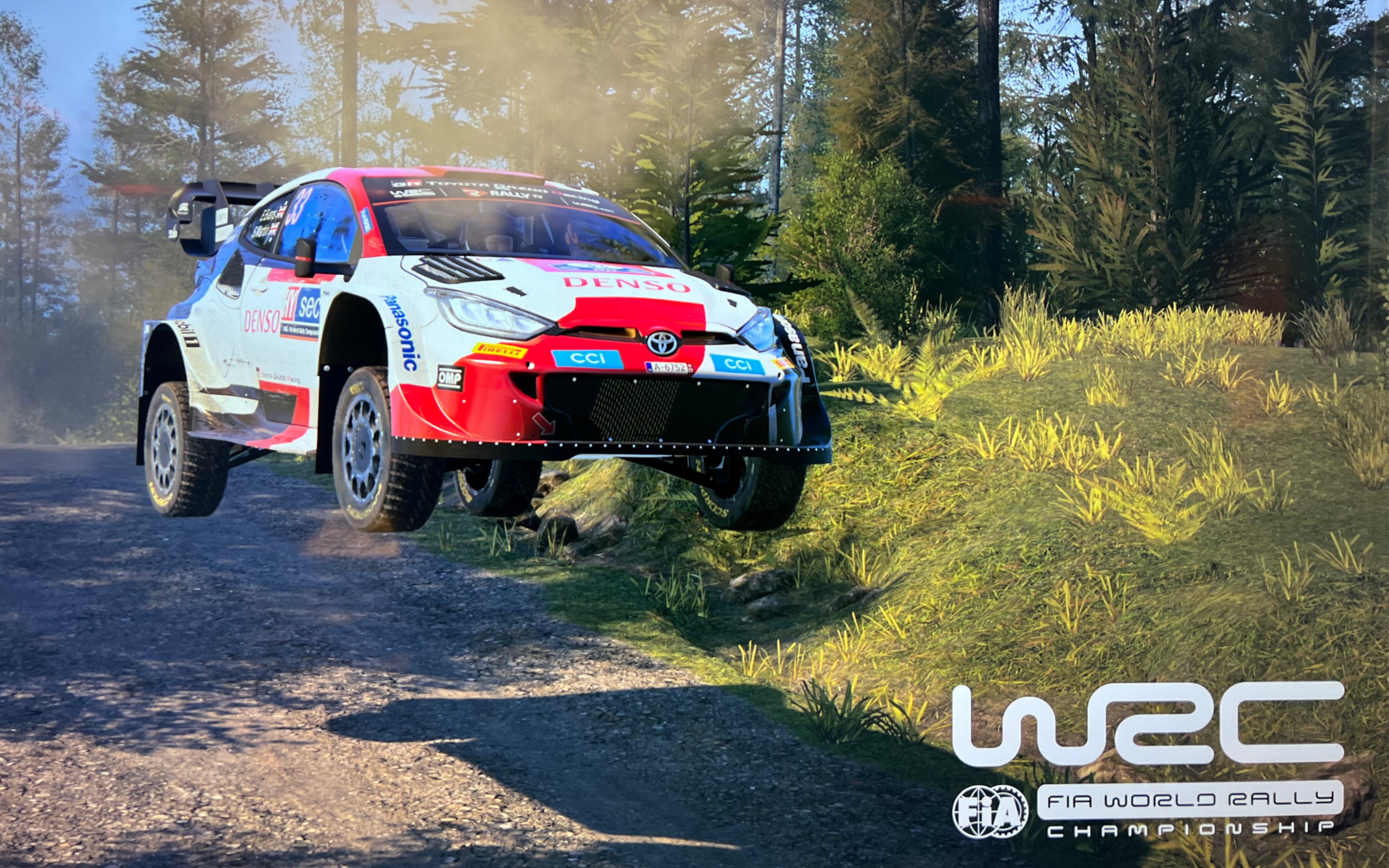 米兰体育入口-WRC年度评选：最佳表现与精彩瞬间盘点的简单介绍