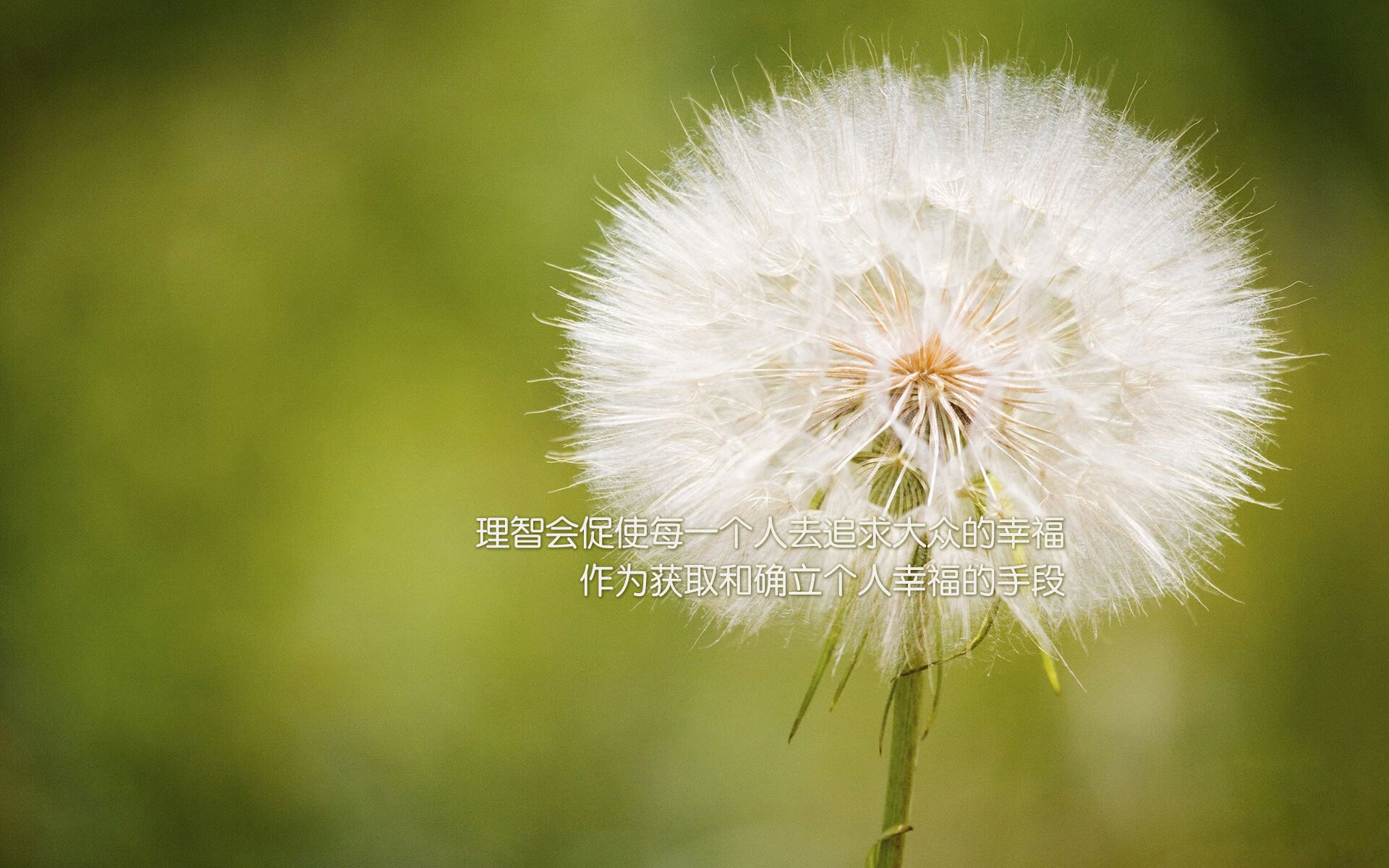 2024季后赛:勇士在关键战中库里的三分狂潮带领球队逆转!,nba2021勇士进季后赛了吗