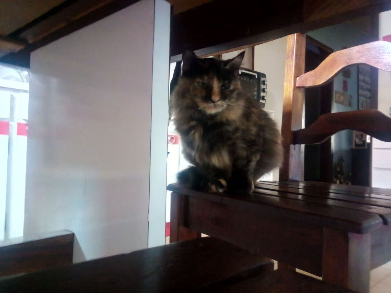 _鹈鹕队展现团队精神，追逐季后赛希望_，鹈鹕队中文网