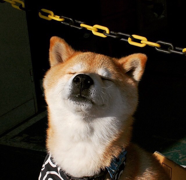 米兰体育正版平台-【击球技巧革命】面对高速投球，打者应如何调整击球位置？，高速运球如何上篮