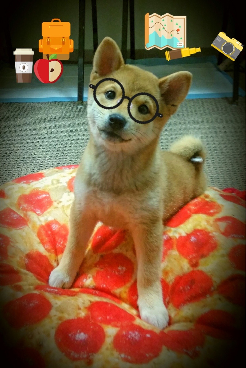 史上最浓墨重彩的盖帽大战，谁的“封堵”最惊人？，盖帽是谁