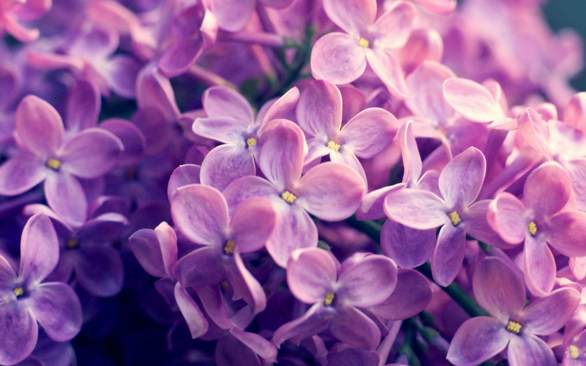 米兰全站app登录app-瑜伽冥想与运动结合，放松身心迎接新挑战，冥想与瑜伽的区别与联系