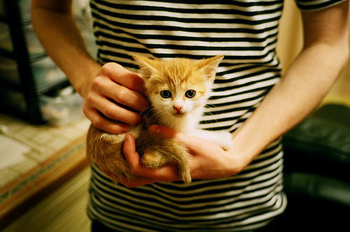 国足战术执行力增强,比赛表现出色,国足的战术