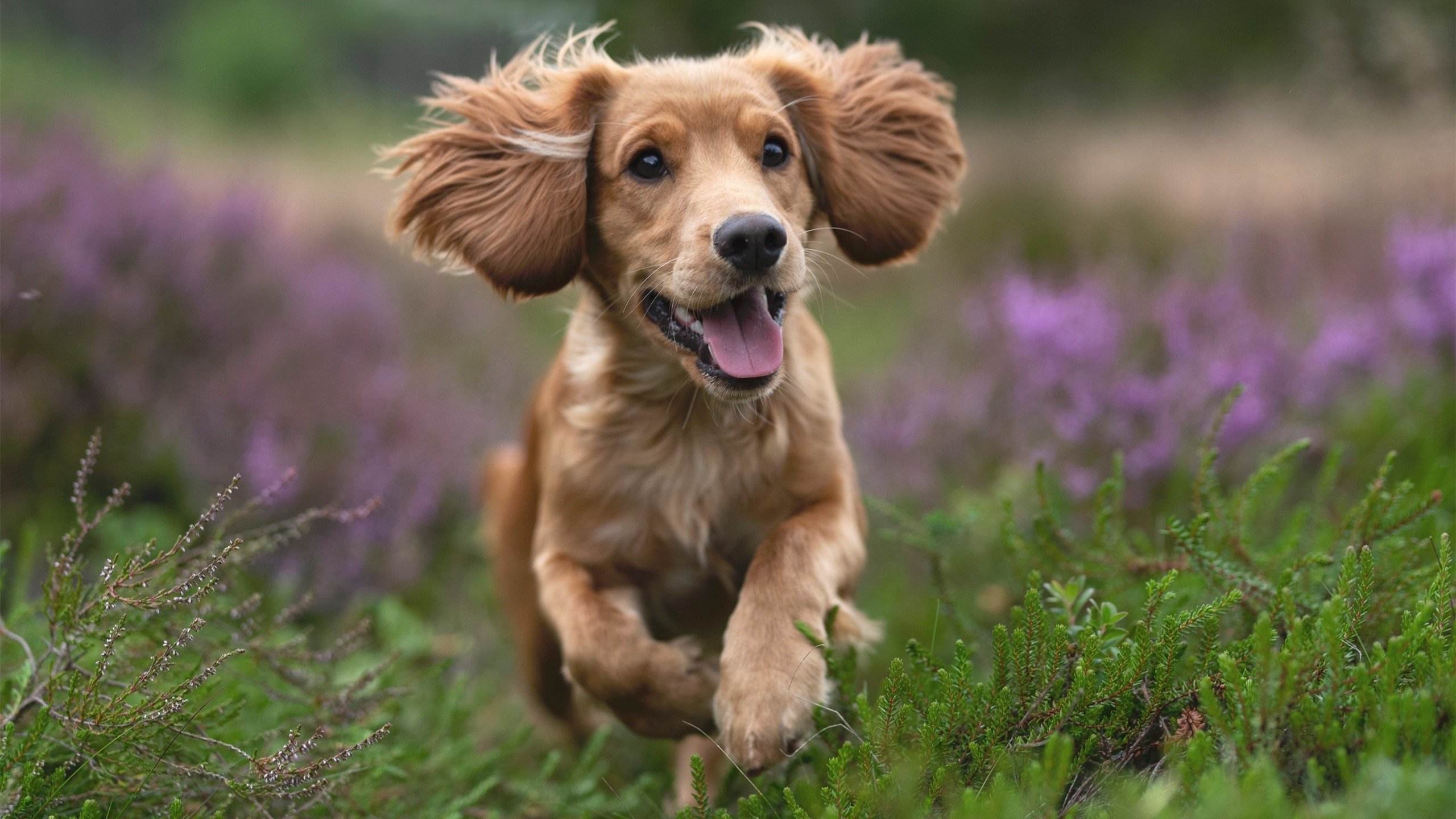 太阳队遗憾失利!晋级前景堪忧!,太阳队近况