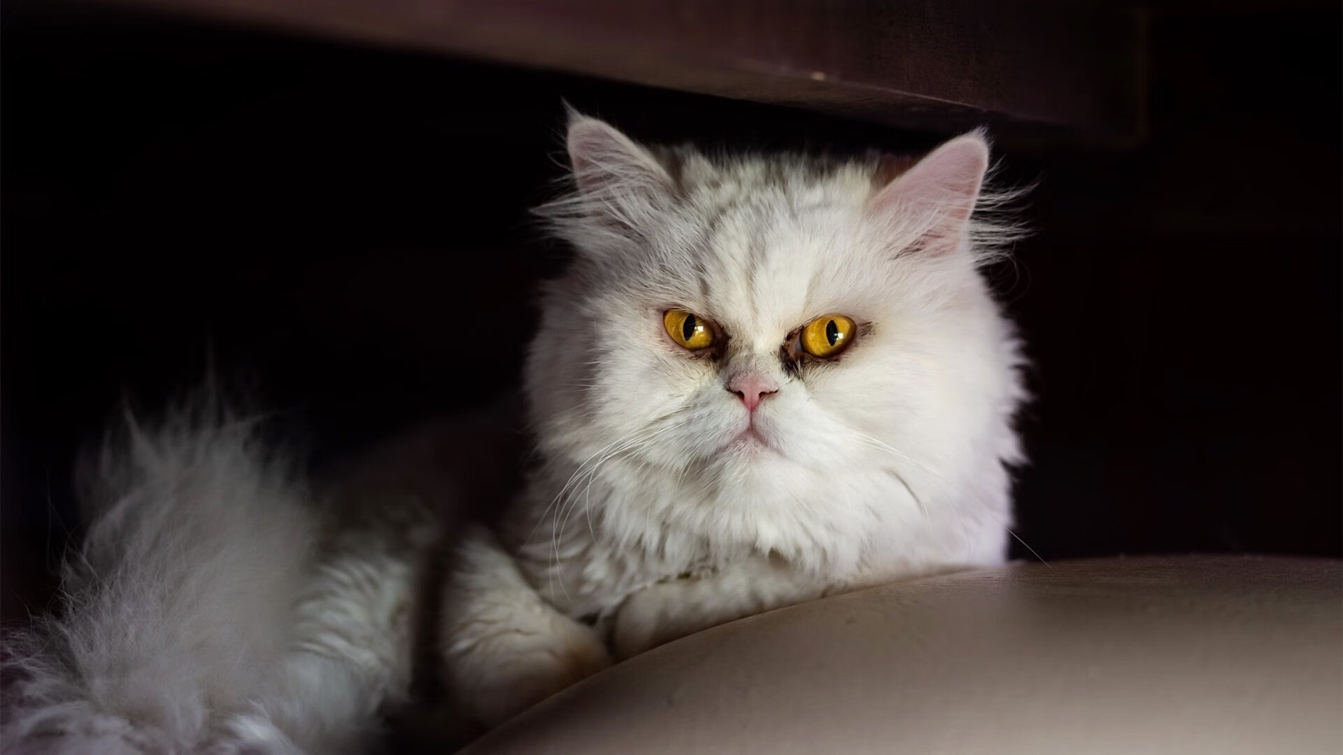 米兰体育官网-曼市大胜伊斯特汉普顿，领跑积分榜，曼彻斯特足球俱乐部