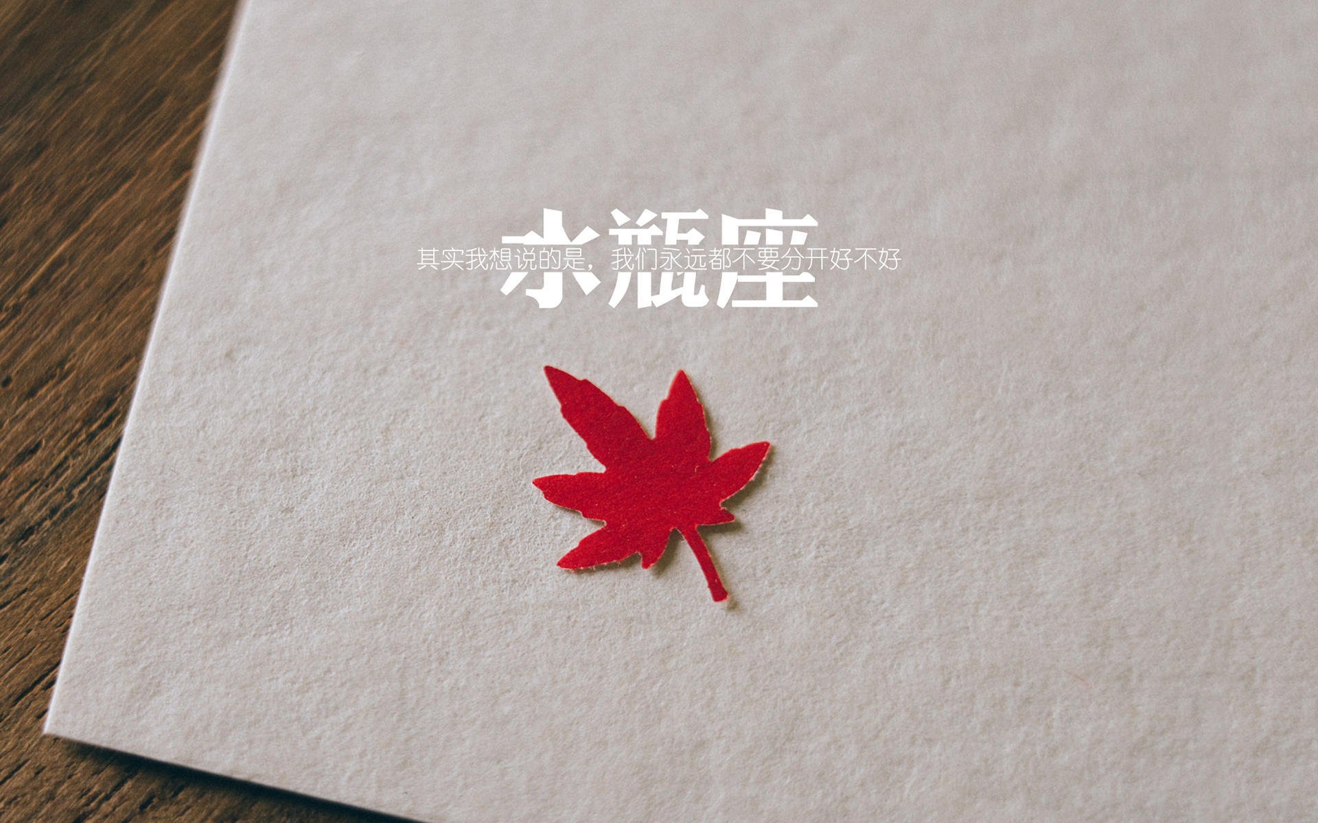 AC MILAN SPORTS全站-比利时队主帅马丁内斯：球队在欧洲杯中的表现令人失望，比利时主教练马丁内斯简介