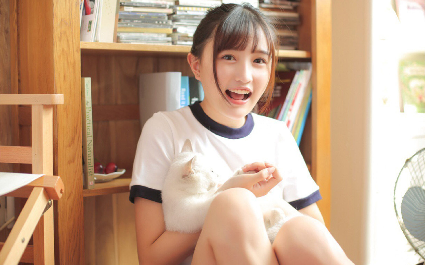 纽卡斯尔联客场0-1惜败阿森纳,防守端表现稳健,纽卡斯尔联队