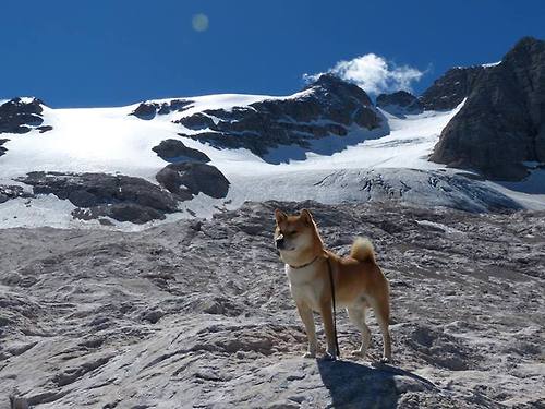 奥预赛中国青年队迎战 战术解读广受关注,中国国家青奥队
