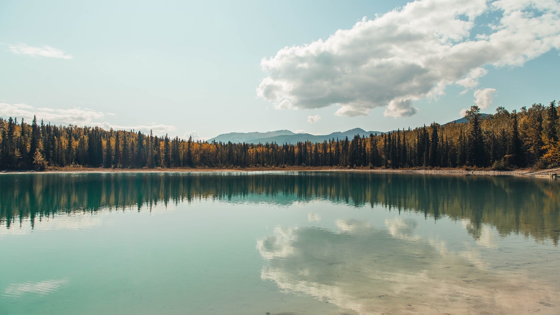 米兰全站APP下载-球员间配合默契如何快速建立，球员间配合默契如何快速建立队伍