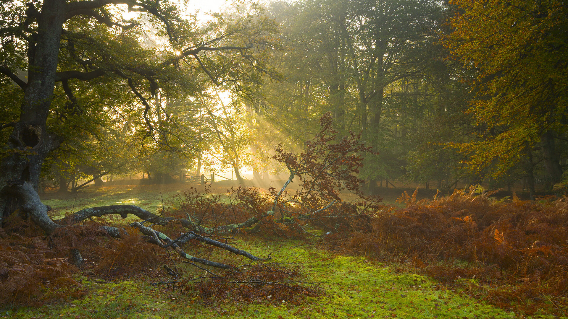 球员间配合默契如何快速建立,球员间配合默契如何快速建立队伍