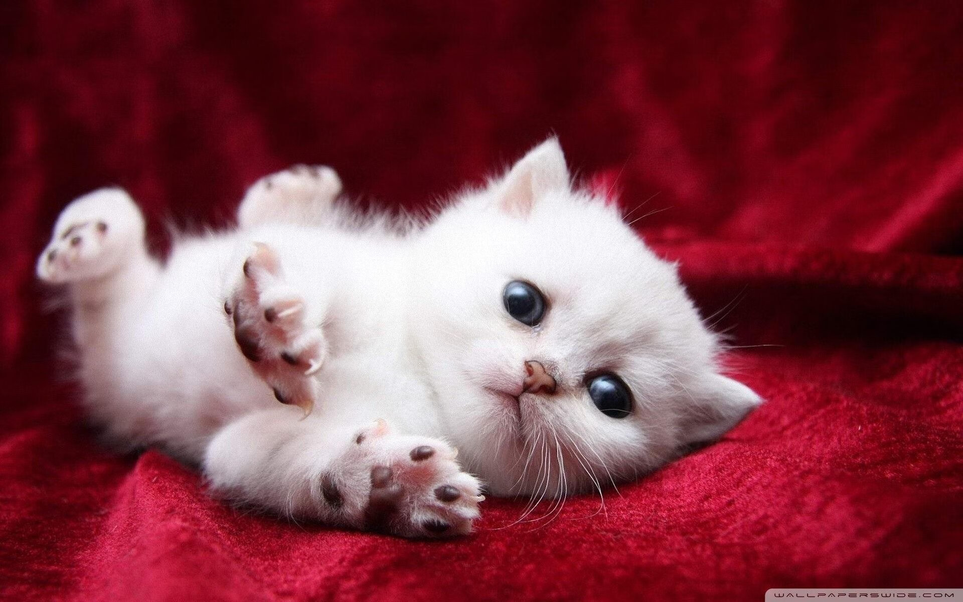 米兰体育官网入口-未来足球：场馆智能能耗管理技术全面落地，绿色环保新标杆，足球场智能化解决方案