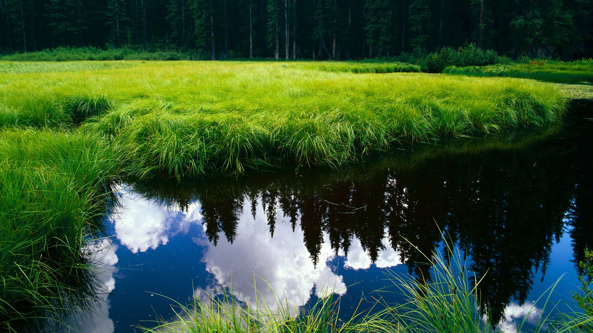 MILAN体育-法甲新秀崭露：未来领袖闪亮登场！，法甲新赛季