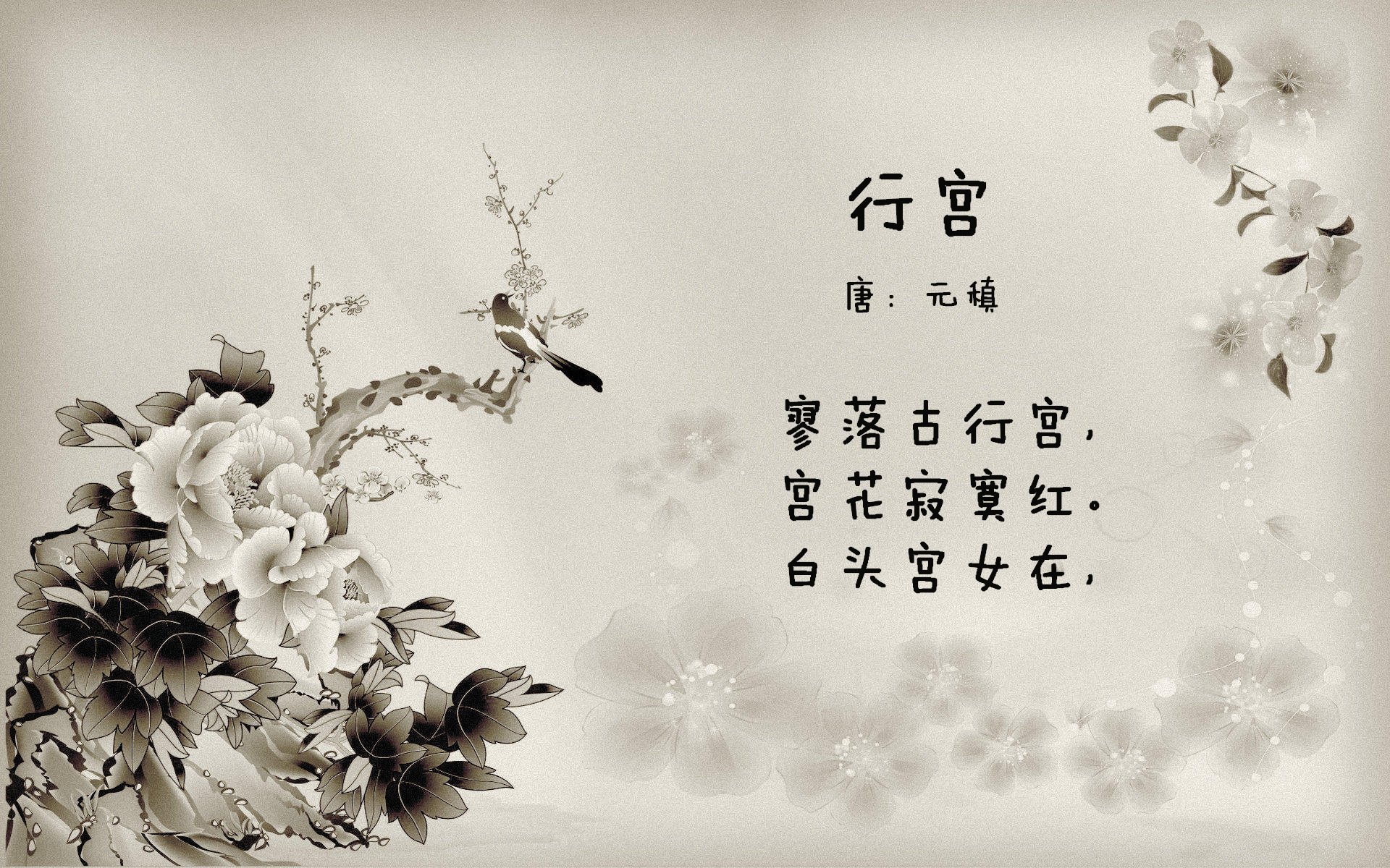 篮网青年队模拟训练与一队展开对抗，篮网队内训练赛