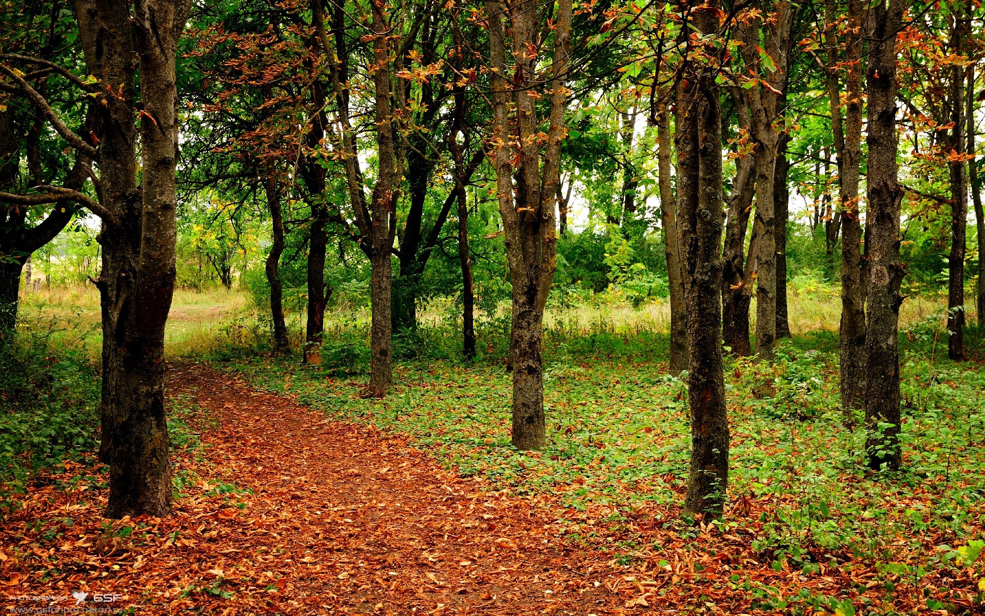 米兰体育官网平台-防守反击节奏转换效率高，防守反击什么意思